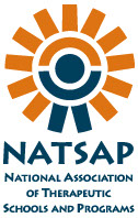 NATSAP Logo