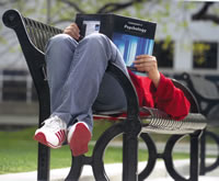 A person reclines on a park bench, reading a textbook.